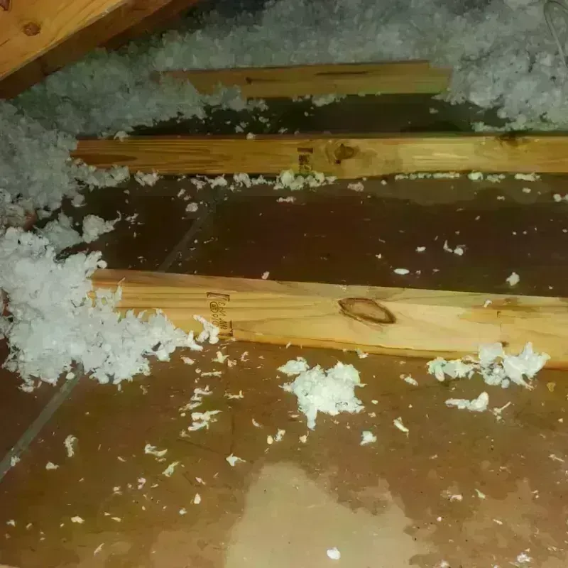 Attic Water Damage in Milan, IL