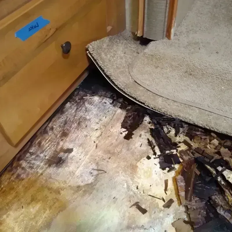 Best Wood Floor Water Damage Service in Milan, IL